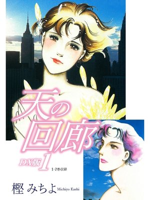 cover image of 天の回廊　DX版　1